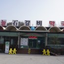 마늘석갈비막국수 이미지