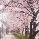 대방인테리어 네이버블로그