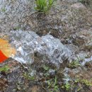 신양농장 이미지