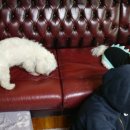 끼리끼리 이미지