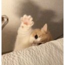 세진골프 이미지