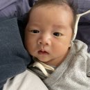 소신흑염소 | 36-40일기록] 터미타임 / 신생아 눈맞춤 / 다리 힘주기 / 코니아기띠 / 초점책 / 산후 헬스 웨이트 후기