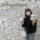 11월 넷째 주 | 재미난 일주일이었어 ~ 길다 길어