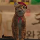 점순 농장 이미지