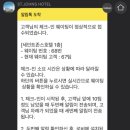 트윈펫 이미지