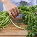 미나리슈퍼 이미지