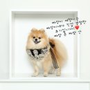 달샘목장 네이버블로그