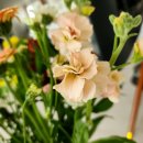 화해농장 이미지