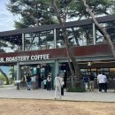 소나무숲 | 춘천 당일치기 여행 분위기 좋은 소나무숲 카페 추천 소울로스터리 방문 솔직 후기