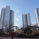 파랑새부동산중개사무소 이미지