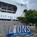 우천중학교 | 삼성라이온즈파크 주차장 원정응원석 좌석 추천 1-2구역 33열 시야 우천중단 직관 후기