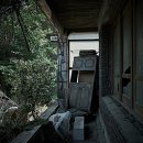 알파비디오 이미지