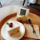 플랜브이(주) 네이버블로그