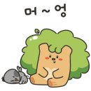 형제농약사 이미지