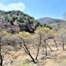 송실목장 이미지