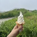 (주)여행버스 | 나고야 혼자 여행_근교투어 여행_다카야마 시라카와고 1일 버스 투어 후기