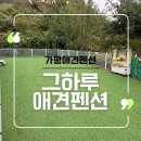 그하루 애견펜션 | 추석에도 강아지들고 함께 애개육아 가평애견펜션 그하루펜션