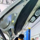 몽키개러지 이미지