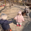 나무 뿌리를 찾아요 이미지