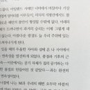 보통의케이크