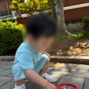 개미어린이집 이미지