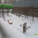 옥곡2동 네이버블로그