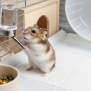 (주)케이지환경 이미지