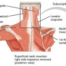 큰나무한의원 이미지