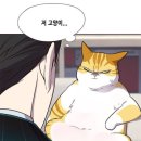 라떼헤어