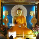 보드가야(BODHGAYA) 이미지