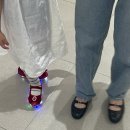 지누동물병원 | 난 진짜 생열무를 좋아함