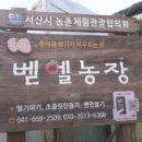 벧엘농장2 네이버블로그