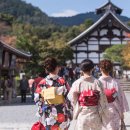 온)일본어고급 이미지