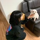 카츠밀