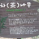 백운초교 이미지