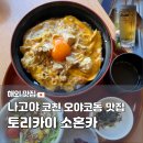 금상 | 나고야 사카에 오야코동 맛집 토리카이 소혼카 라시크점｜코친 금상 덮밥 후기