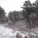 공검면 역곡리 이미지