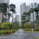 라온 종합건축사사무소 이미지