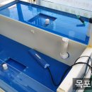 목포뻘낙지 이미지