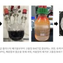 ■ 의류 쓰레기로 플라스틱 원료 만드는 기술 개발 이미지