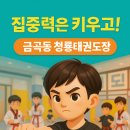 국가대표청룡태권도장 이미지