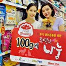 인터펫코리아 이미지