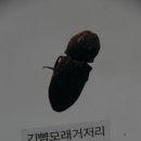경북대학교글로벌플라자 이미지