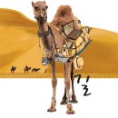 노블레스노마드 이미지