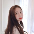 데일리브라운 이미지