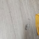망고홈케어