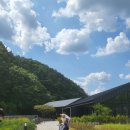 백옥대로753번길 이미지