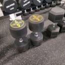 마이트짐 이미지