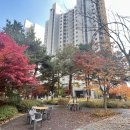 쌍용예가경로당 이미지