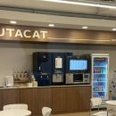 이다캣 | 시흥 부타캣 고양이카페 후기 데이트 내돈내산 보드게임